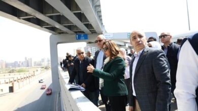 وزيرة التنمية المحلية والبيئة ومحافظ الإسكندرية يتفقدان كوبري الفريق أول سليمان عزت ومحاور مرورية حيوية بالمحافظة 6 IMG 20260331 WA0033