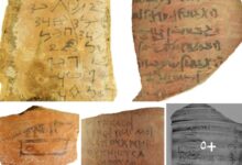 Screenshot ٢٠٢٦٠٣١١ ١٧١٢٠٠ One UI Home