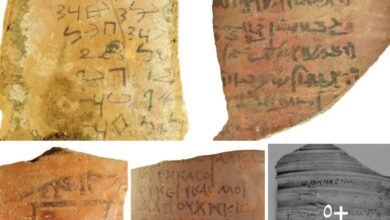 Screenshot ٢٠٢٦٠٣١١ ١٧١٢٠٠ One UI Home