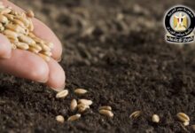 FB IMG 1775420739362