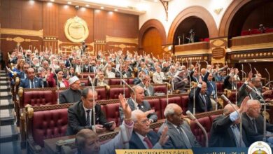 FB IMG 1775505416651