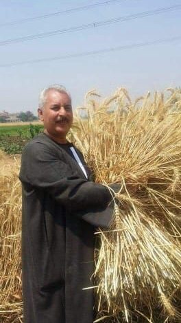 نقيب الفلاحين: أردب القمح 2500.. جنيه لأول مره 1 IMG 20260401 WA0082